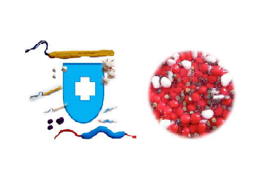 Inmunosistemat
